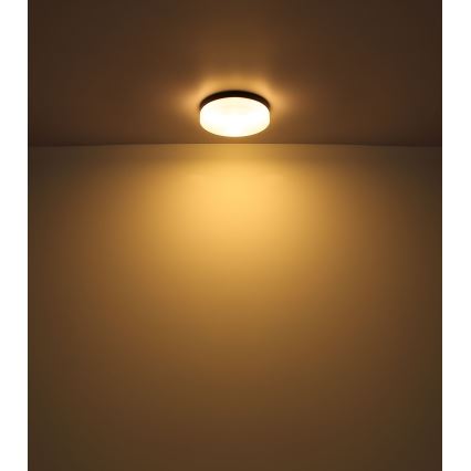 Globo - Badrumslampa 2xE27/60W/230V diameter 24 cm IP44