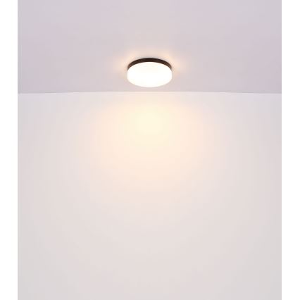 Globo - Badrumslampa 2xE27/60W/230V diameter 24 cm IP44