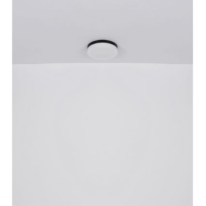 Globo - Badrumslampa 2xE27/60W/230V diameter 24 cm IP44