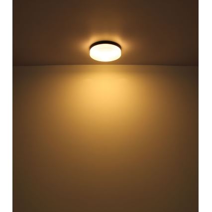 Globo - Badrumslampa 3xE27/60W/230V diameter 30 cm IP44