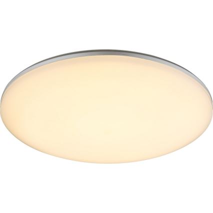 Globo 32118-24 - Utomhus LED Takbelysning DORI 1xLED/24W/230V