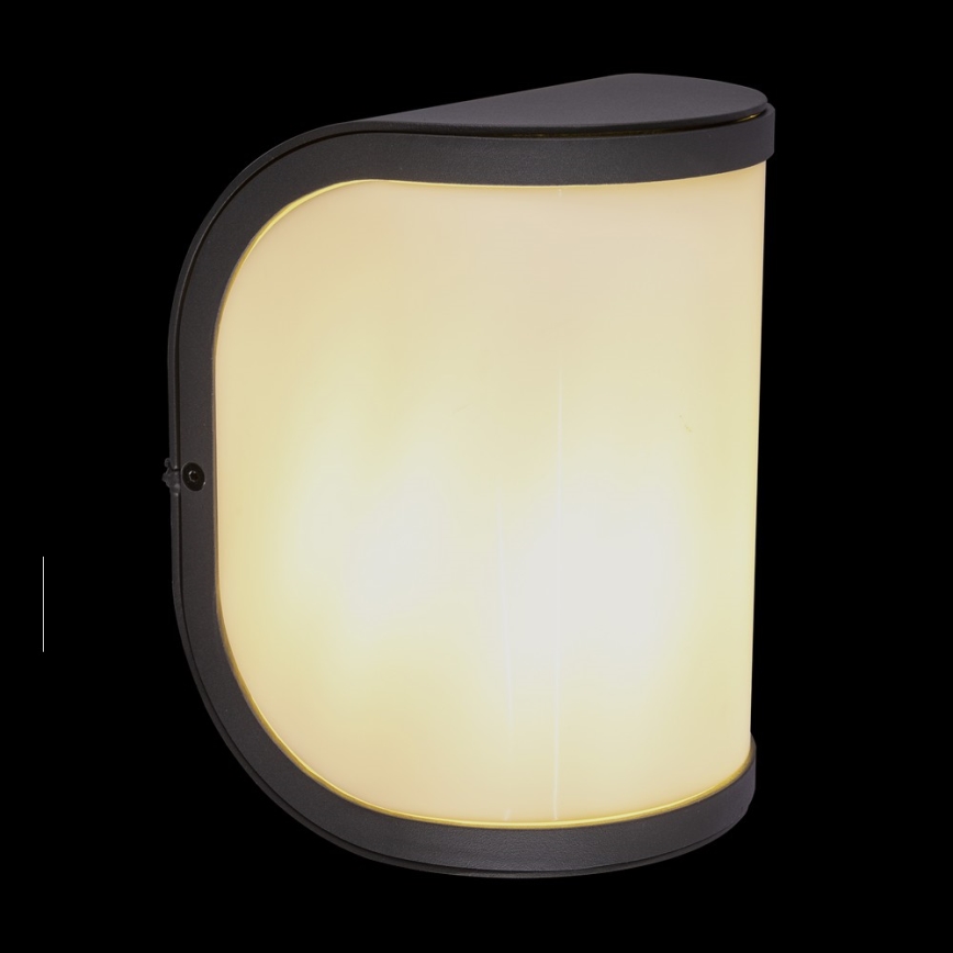 Globo 32128A - Utomhus Väggbelysning  SEGGA 1xE27/60W/230V IP44