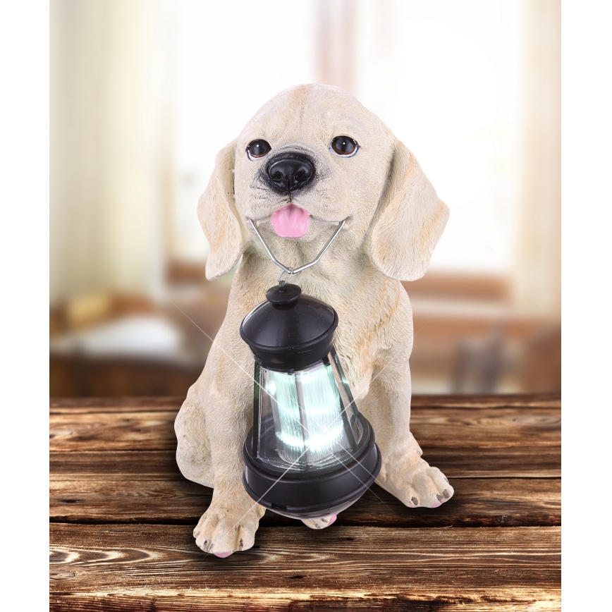 Globo - LED Solcellsbelysning LED/0,06W/3V hund IP44 600 mAh