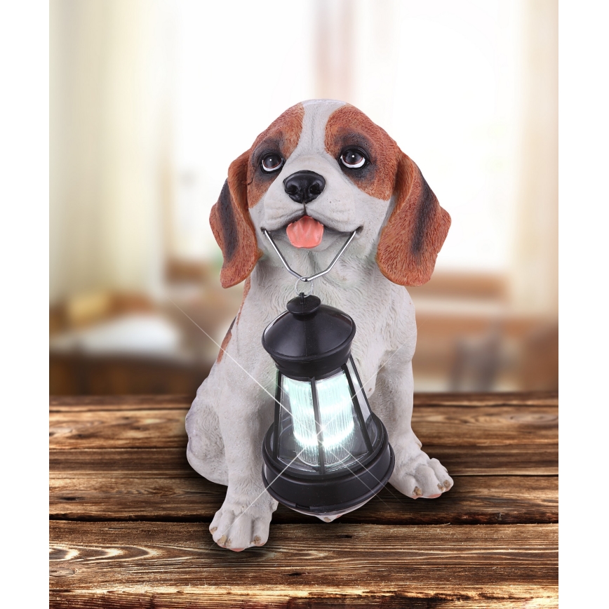 Globo - LED solcellsbelysning LED/0,06W/3V IP44
