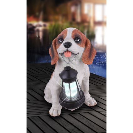 Globo - LED solcellsbelysning LED/0,06W/3V IP44