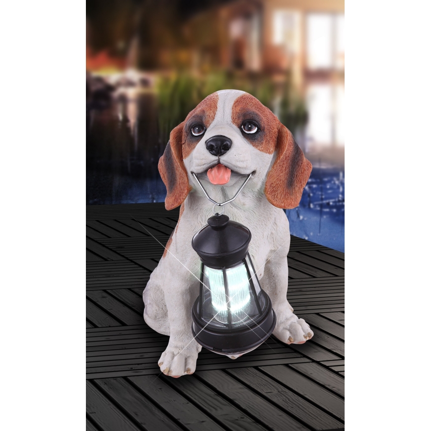 Globo - LED solcellsbelysning LED/0,06W/3V IP44