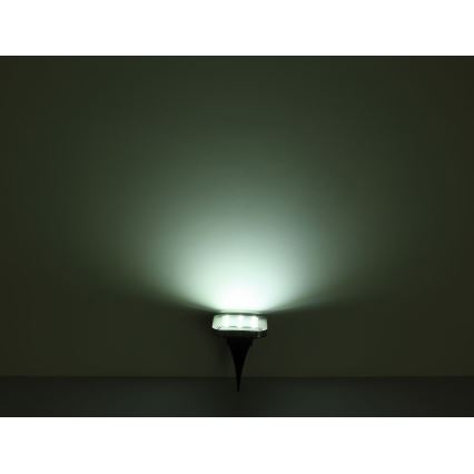 Globo - KIT 2x LED Solcellsbelysning LED/0,8W/1,2V IP44 300 mAh