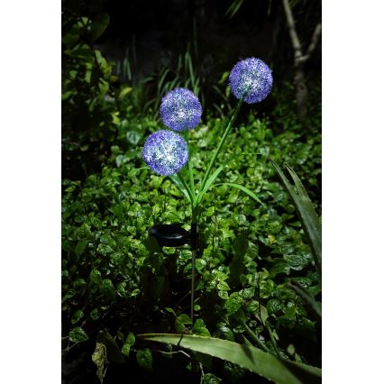 Globo - LED solcellsbelysning 3xLED/0,06W/3V 5000K IP44 lila