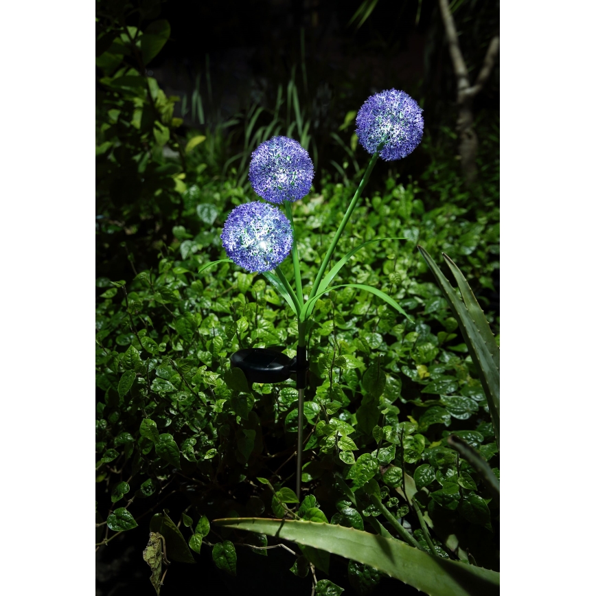 Globo - LED solcellsbelysning 3xLED/0,06W/3V 5000K IP44 lila