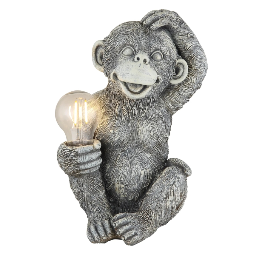 Globo - LED Solcell dekoration LED/0,02W/3V IP44 apa