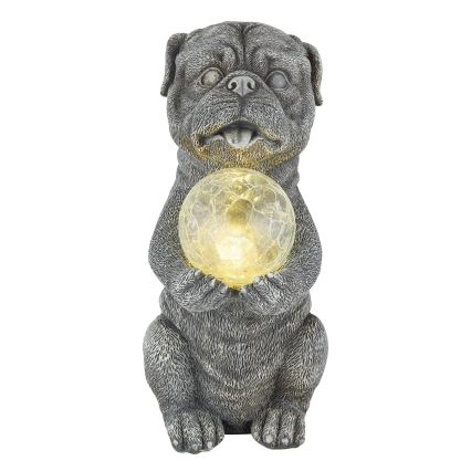 Globo - LED Solcell dekoration LED/0,02W/3V IP44 hund