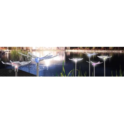 Globo - KIT 4x LED solcellsbelysning LED/0,06W/3V IP44