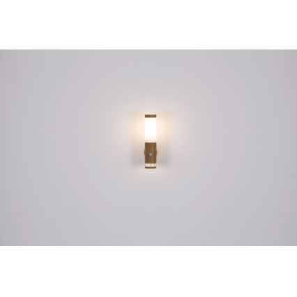 Globo - Utomhus vägglampa  1xE27/15W/230V IP44