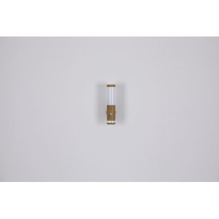 Globo - Utomhus vägglampa  1xE27/15W/230V IP44