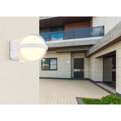 Globo - LED vägglampa för utomhusbruk LED/12W/230V IP54 vit