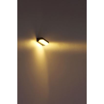 Globo - Utomhus LED vägglampa  LED/10W/230V IP54