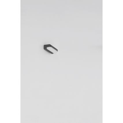 Globo - Utomhus LED vägglampa  LED/10W/230V IP54