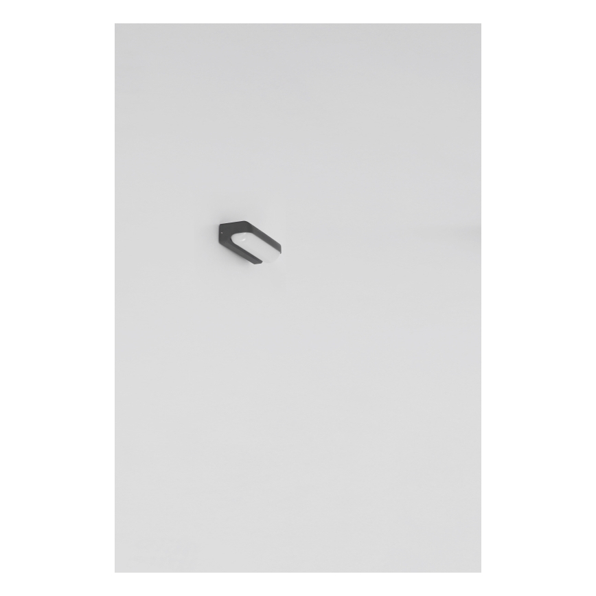Globo - Utomhus LED vägglampa  LED/10W/230V IP54