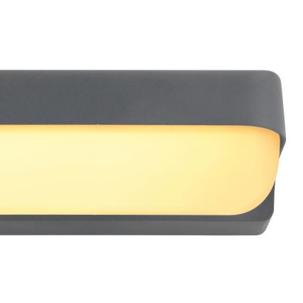 Globo - Utomhus LED vägglampa  LED/10W/230V IP54