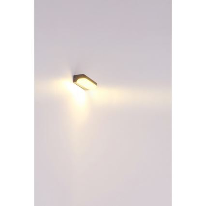 Globo - Utomhus LED vägglampa  LED/20W/230V IP54