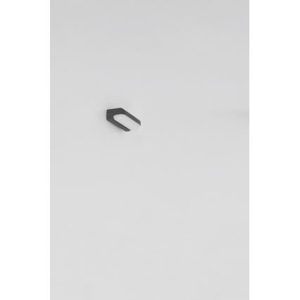 Globo - Utomhus LED vägglampa  LED/20W/230V IP54
