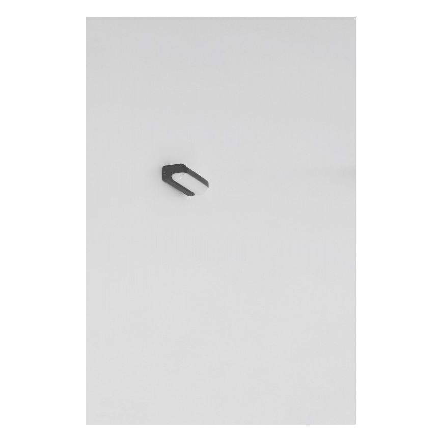 Globo - Utomhus LED vägglampa  LED/20W/230V IP54