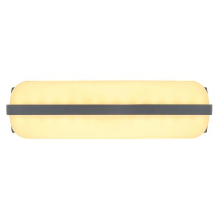 Globo - Utomhus LED vägglampa  LED/20W/230V IP54
