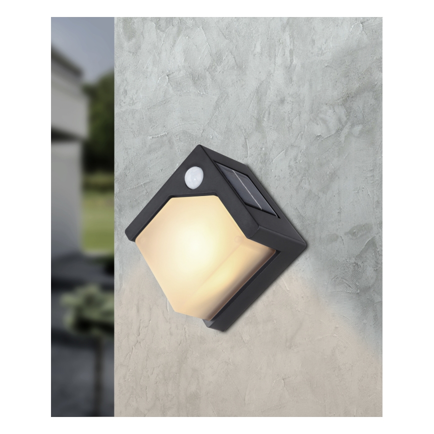 Globo - LED Solcellsbelysning med en sensor LED/0,48W/3V IP44 600 mAh