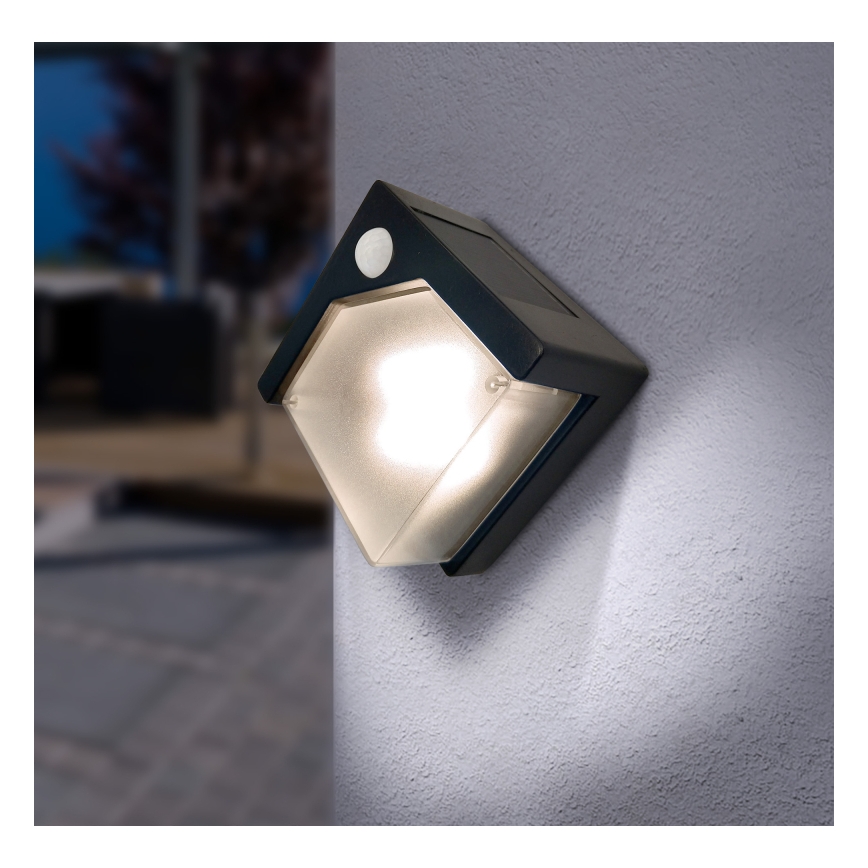 Globo - LED Solcellsbelysning med en sensor LED/0,48W/3V IP44 600 mAh