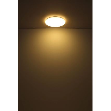 Globo - LED taklampa LED/24W/230V diameter 49,5 cm vit