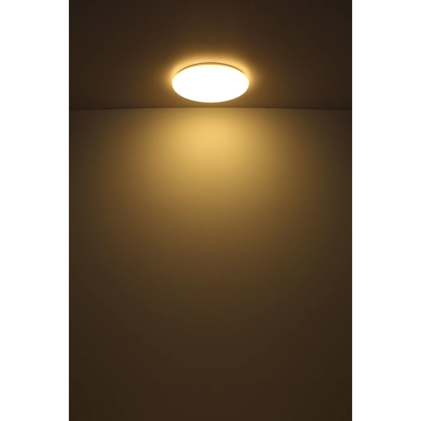 Globo - LED taklampa LED/24W/230V diameter 49,5 cm vit