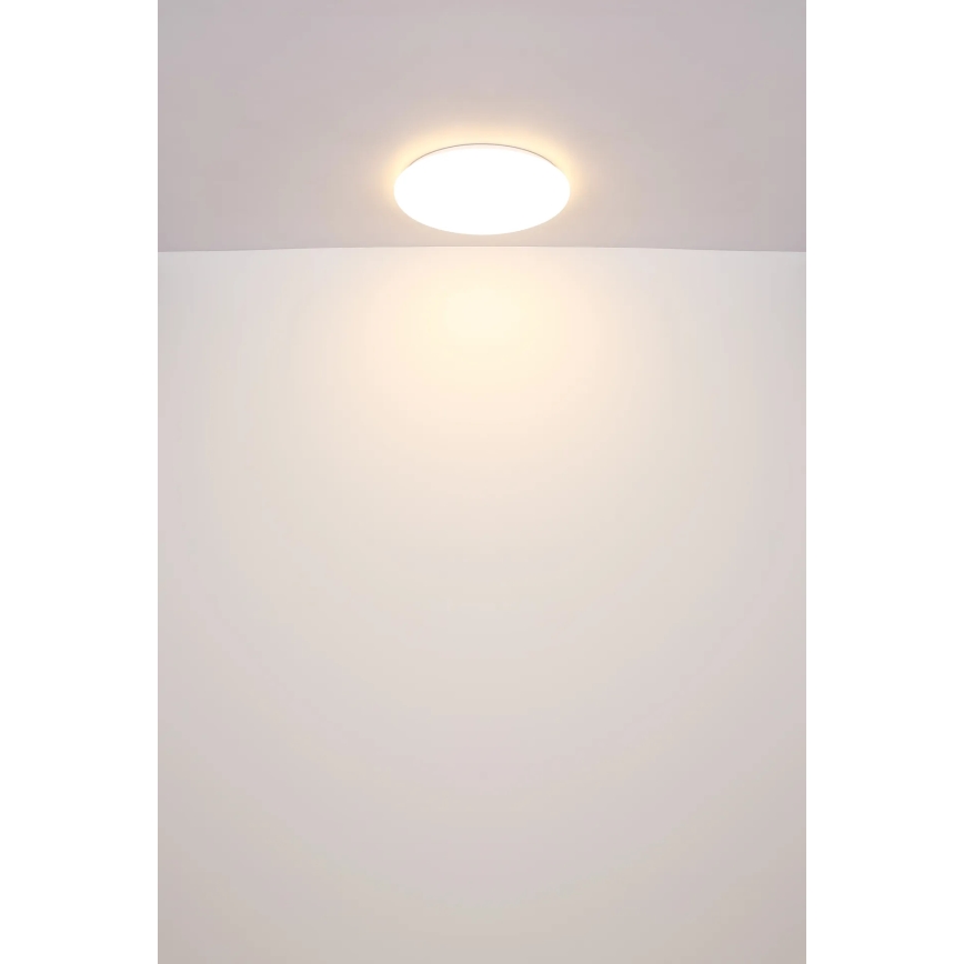 Globo - LED taklampa LED/24W/230V diameter 49,5 cm vit