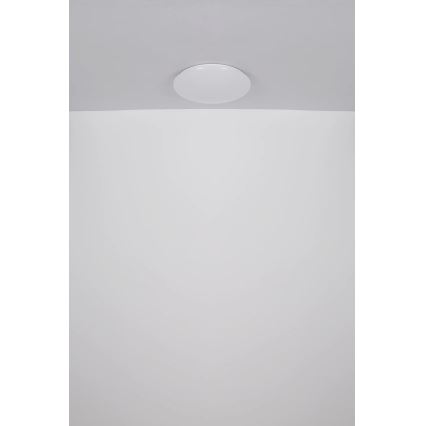 Globo - LED taklampa LED/24W/230V diameter 49,5 cm vit