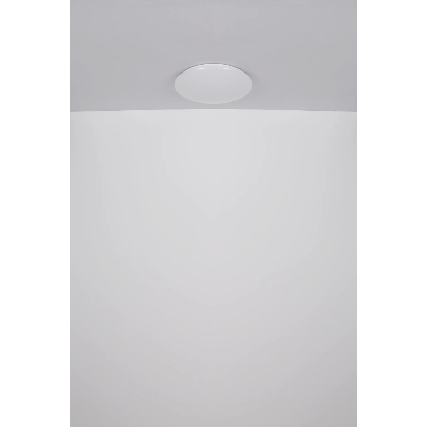 Globo - LED taklampa LED/24W/230V diameter 49,5 cm vit