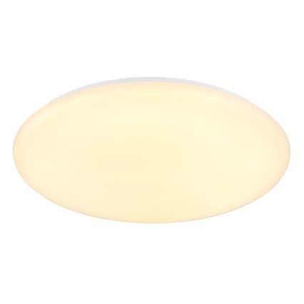 Globo - LED taklampa LED/24W/230V diameter 49,5 cm vit