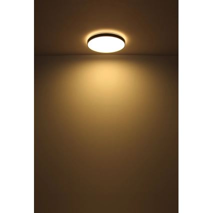 Globo - LED taklampa LED/24W/230V diameter 48 cm antracit