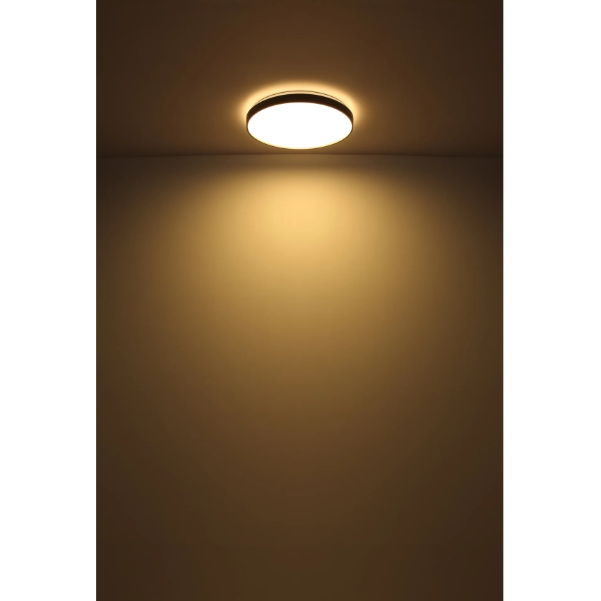 Globo - LED taklampa LED/24W/230V diameter 48 cm antracit