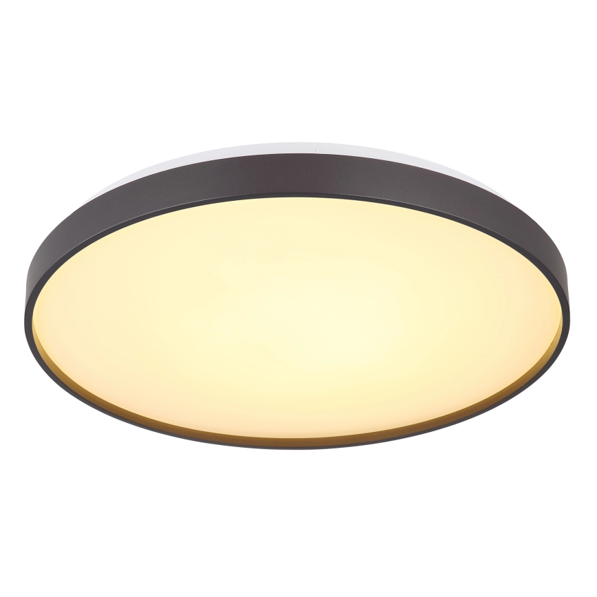 Globo - LED taklampa LED/24W/230V diameter 48 cm antracit