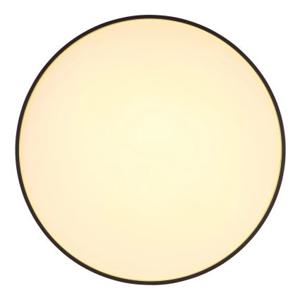 Globo - LED taklampa LED/24W/230V diameter 48 cm antracit