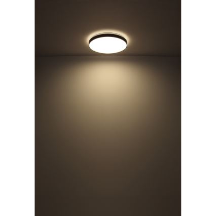 Globo - LED taklampa LED/24W/230V