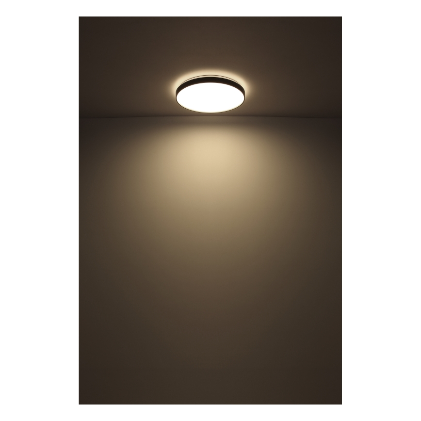 Globo - LED taklampa LED/24W/230V