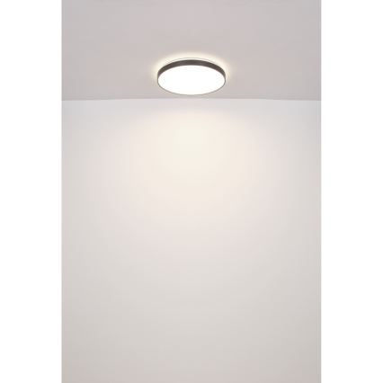 Globo - LED taklampa LED/24W/230V