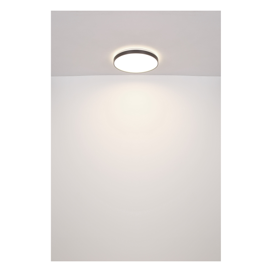 Globo - LED taklampa LED/24W/230V