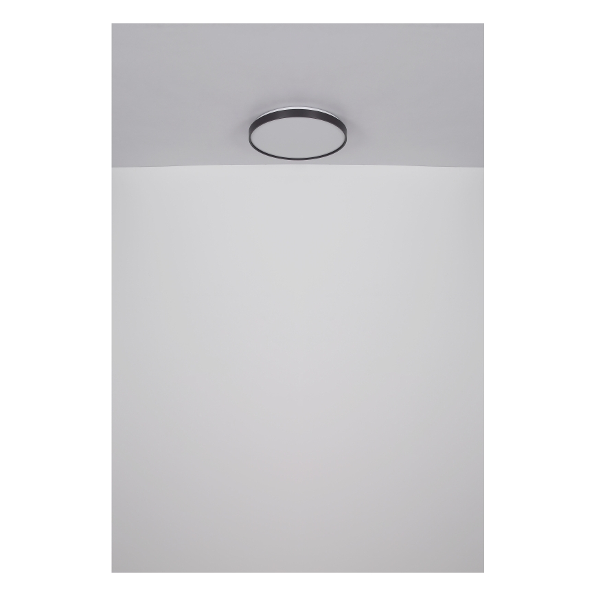 Globo - LED taklampa LED/24W/230V
