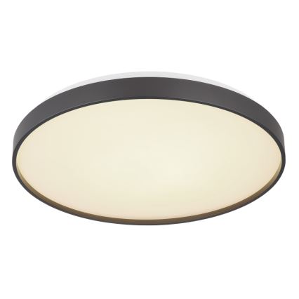 Globo - LED taklampa LED/24W/230V