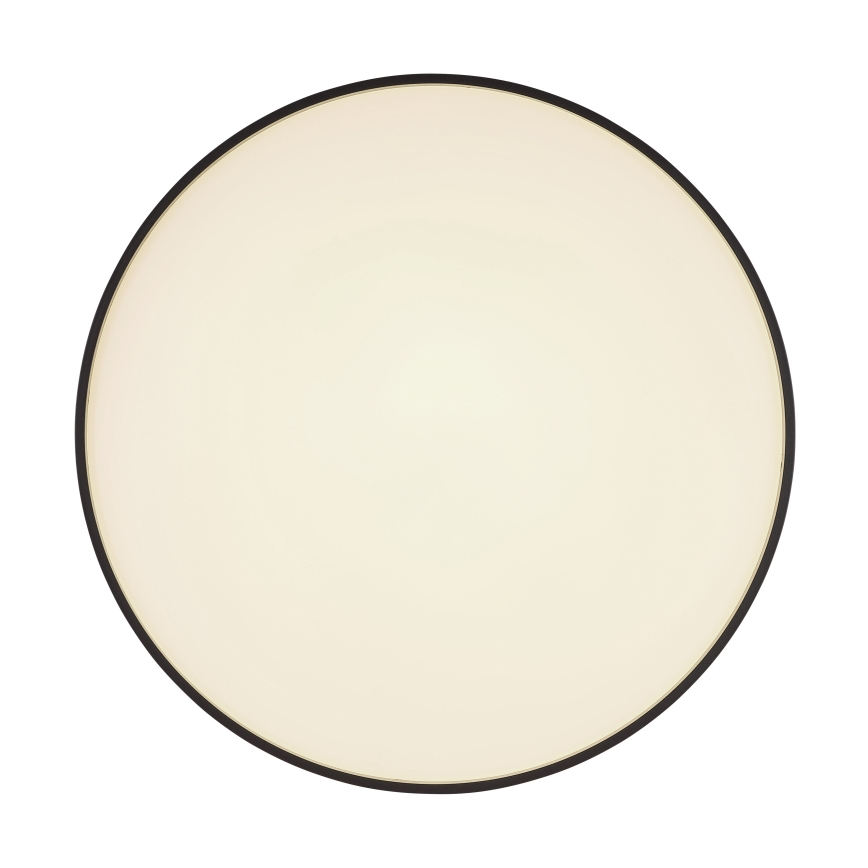 Globo - LED taklampa LED/24W/230V