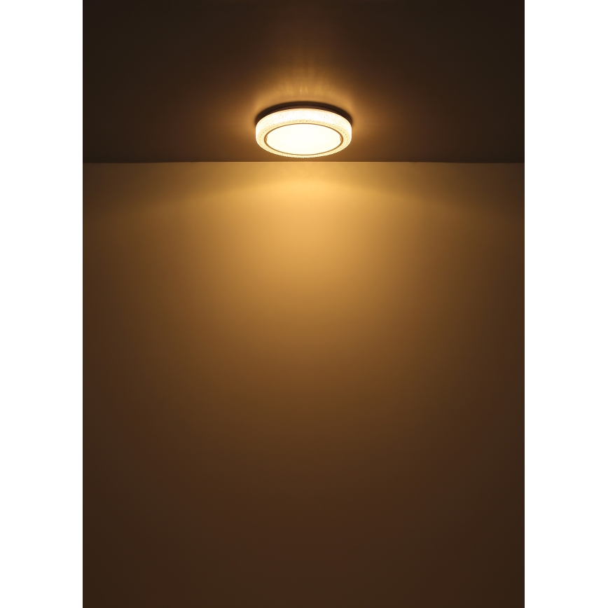 Globo - LED taklampa LED/24W/230V diameter 40 cm 3000K vit