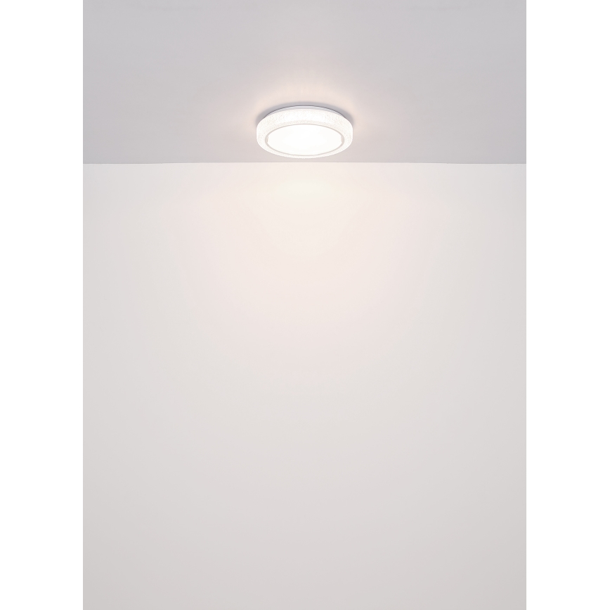 Globo - LED taklampa LED/24W/230V diameter 40 cm 4000K vit