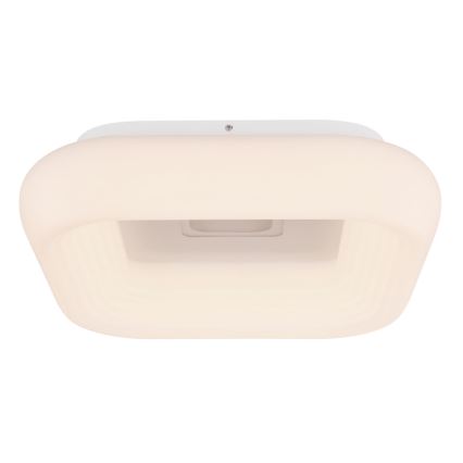 Globo - LED Dimbar taklampa LED/50W/230V + fjärrkontroll