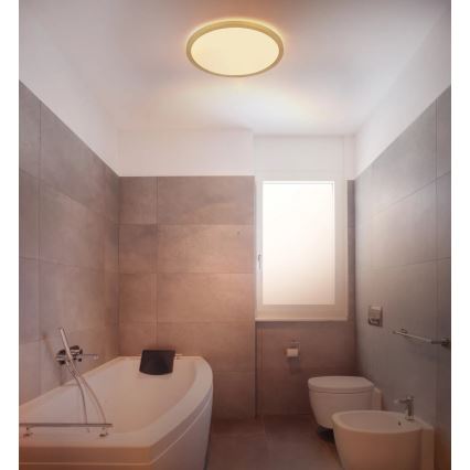 Globo - LED ljusreglerad taklampa till badrum LED/18W/230V 3000K IP44 diameter 29,4 cm mässing